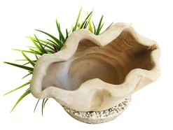 Sydeco - Décoration Plante Artificielle Benitier Large pour Aquarium