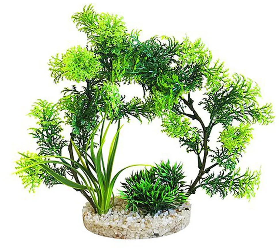 Sydeco - Décoration pour Aquarium Arche Plante - 21cm