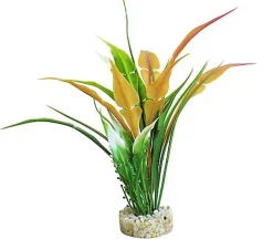 Sydeco - Décoration pour Aquarium Perle Anubias - 22 cm