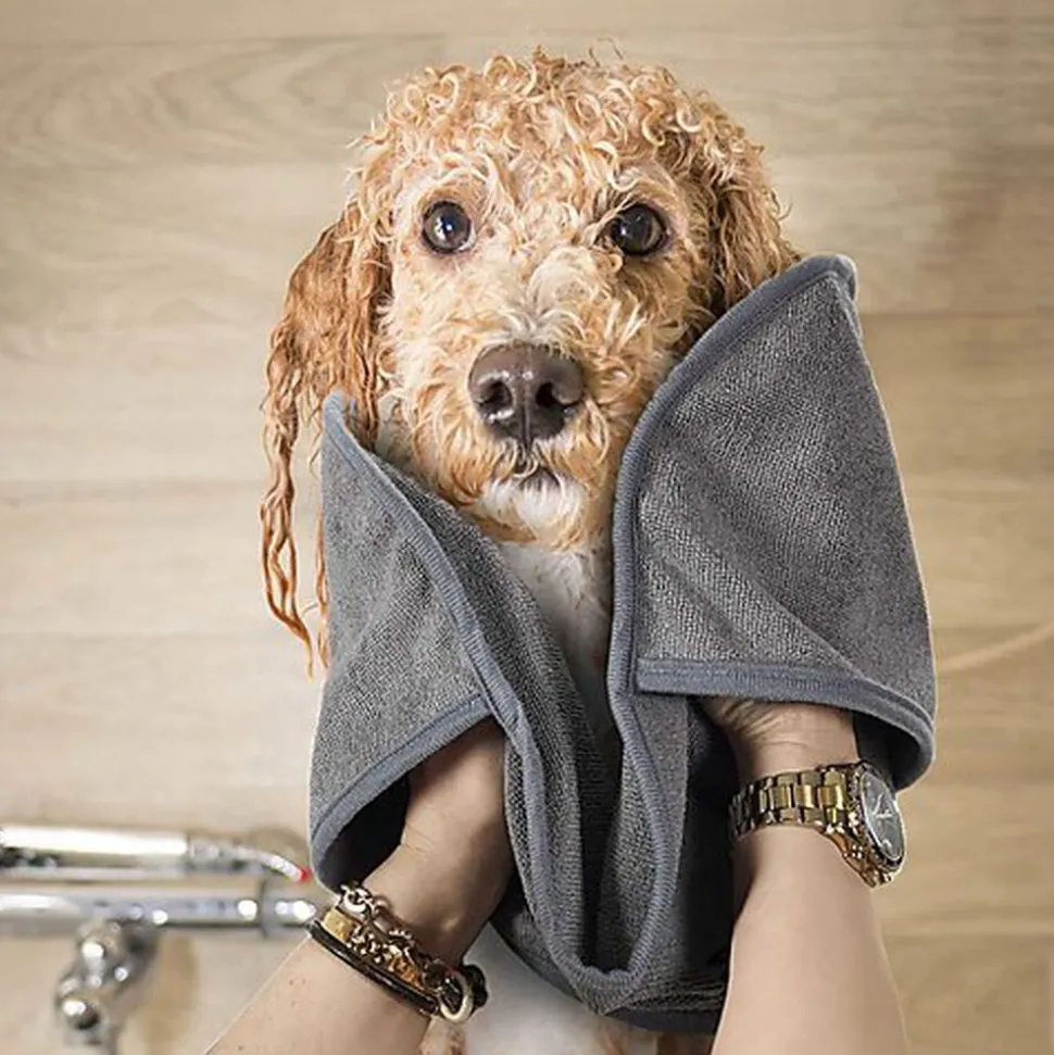 The Concept Factory - Serviette Microfibre pour Chiens et Chats - 65cm