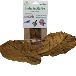 Thibaud - Feuilles de Catappa pour Poissons d'Eau Douce - x2