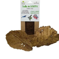 Thibaud - Feuilles de Catappa pour Poissons d'Eau Douce - x10