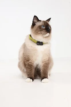 Tickless - Répulsif Antiparasitaire Mini Cat Ultrason Rechargeable pour Chats - Noir