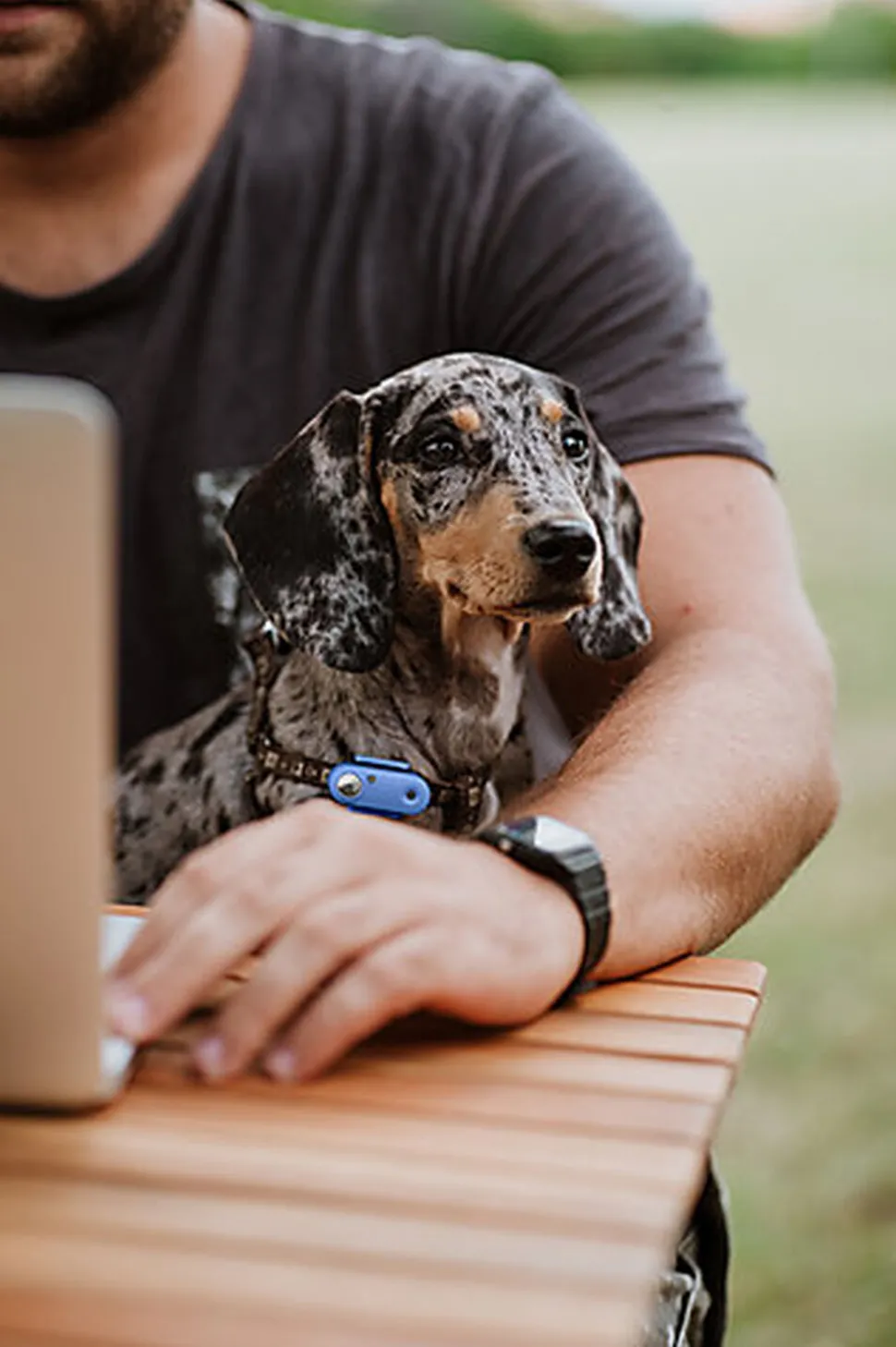 Tickless - Répulsif Antiparasitaire Mini Dog Ultrason Rechargeable pour Chiens - Bleu