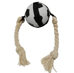 Tootoy! - Ballon Foot