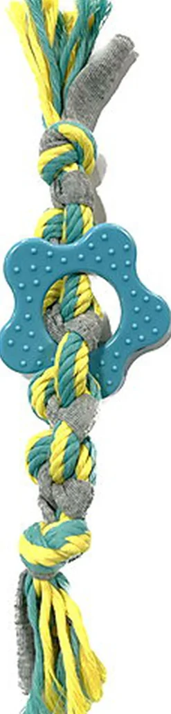 Tootoy! - Chiot Corde Dentaire