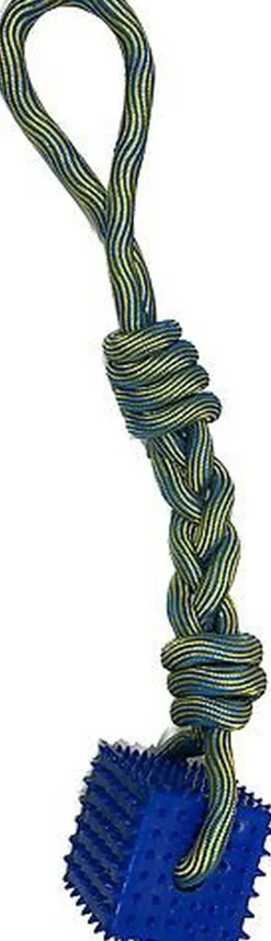 Tootoy! - Corde et Cube Dentaire