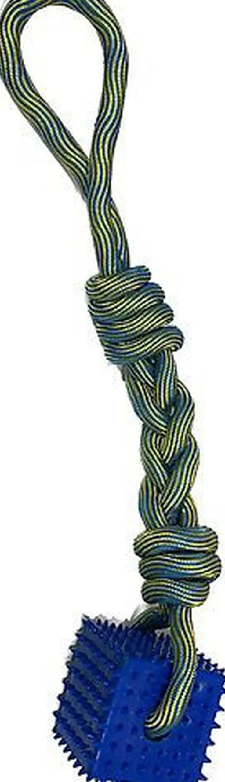 Tootoy! - Corde et Cube Dentaire