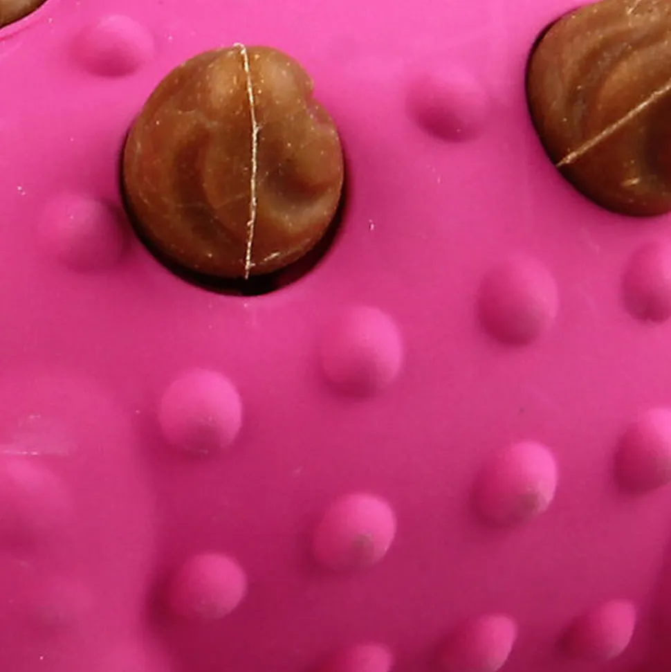 Tootoy! - Jouet 2 en 1 Dino