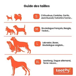 Tootoy! - Jouet Cochon