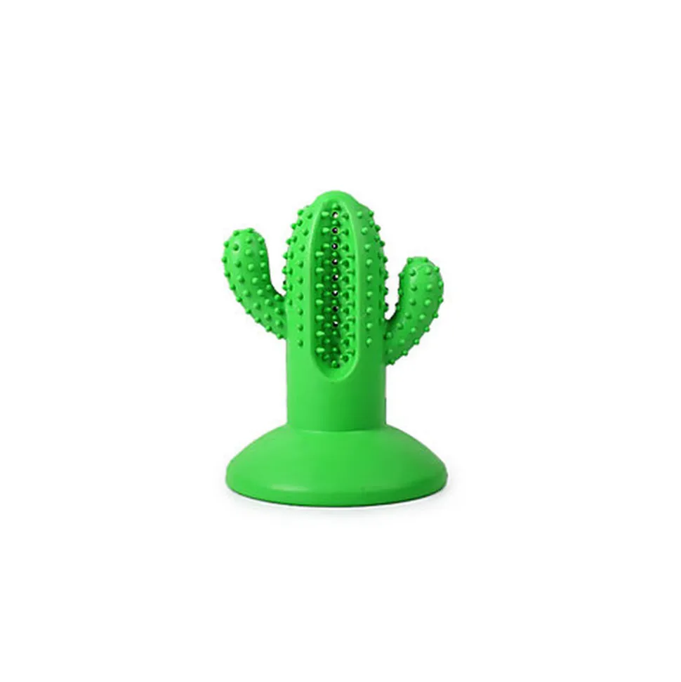 Tootoy! - Jouet Dentaire Cactus