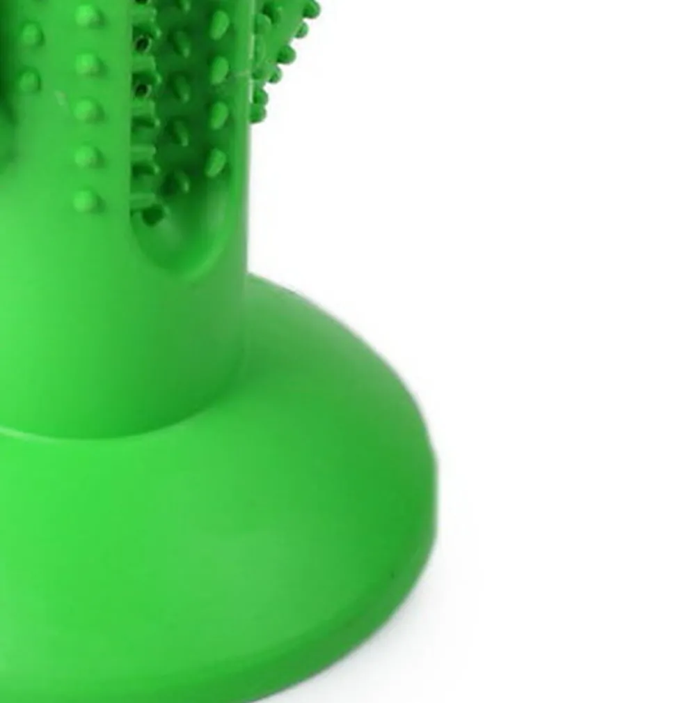 Tootoy! - Jouet Dentaire Cactus