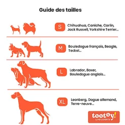 Tootoy! - Jouet Dentaire Os Trio