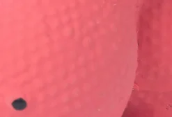 Tootoy! - Mini Hippopotame Chiot