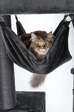 Trixie - Arbre à Chat XXL Amadeus Anthracite pour Chat - 163cm