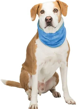 Trixie - Bandana rafraîchissant pour Chien - XL