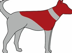 Trixie - Collerette de Protection Gonflable pour Chien