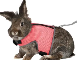 Trixie - Harnais Doux avec Laisse pour Grand Lapin - 40cm