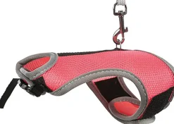 Trixie - Harnais Doux avec Laisse pour Lapin - 32cm