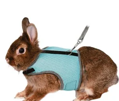 Trixie - Harnais Doux avec Laisse pour Lapin - 32cm