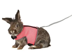 Trixie - Harnais Doux avec Laisse pour Lapin - 32cm
