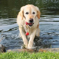 Trixie - Jouet Aqua Toy Mot-Fun flottant pour Chien