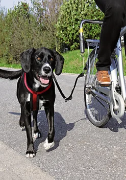 Trixie - Kit de Séparation Vélo Biker-Set pour Grand Chien