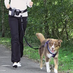 Trixie - Laisse Canicross avec Ceinture Ventrale pour Chien Noir