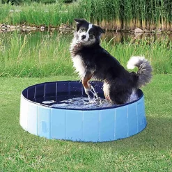 Trixie - Piscine Bleu pour Chien