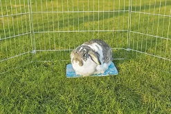 Trixie - Plateau Rafraîchissant Bleu Petits Rongeurs - 28 × 20 cm