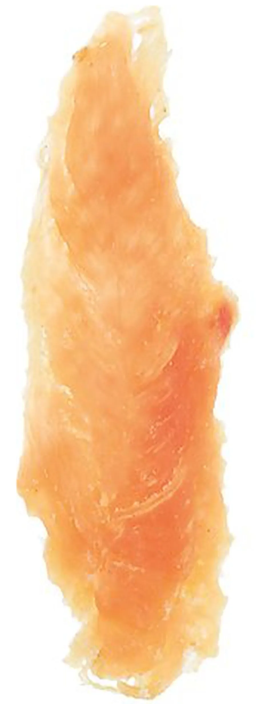 Trixie - PREMIO Chicken Filets XXL Pack - 300 g