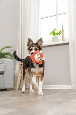 Trixie - RENARD ROND EN PELUCHE - 11 CM