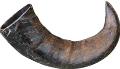 Trixie - Véritable Corne de Buffle à Mâcher - Grand