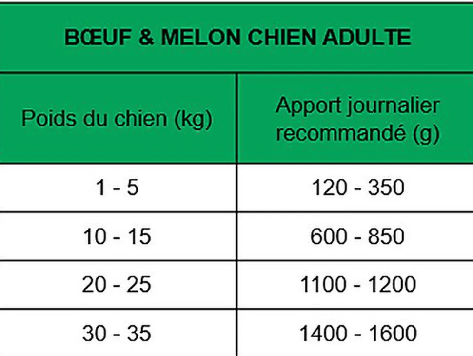 True Origins Wild - Pâtée au Bœuf & Melon pour Chiens Adultes - 400G