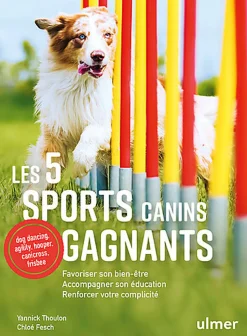 Ulmer - Les 5 sports canins gagnants