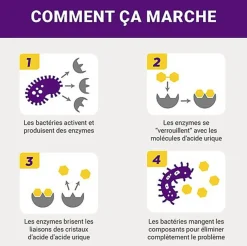 Urine Off - Destructeur Biotec Urine Off Chat  -118ml