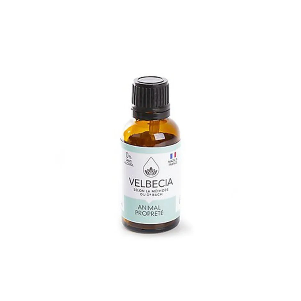 Velbecia - Fleur de Bach Propreté pour Chiens et Chats - 30ml