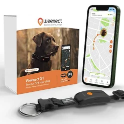 Weenect - Collier GPS XT Chiens