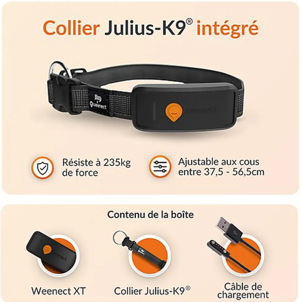 Weenect - Collier GPS XT Chiens