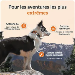 Weenect - Collier GPS XT Chiens