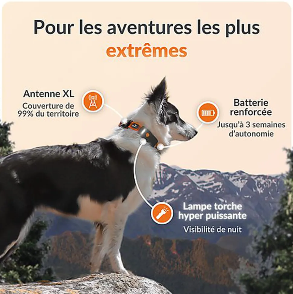 Weenect - Collier GPS XT Chiens