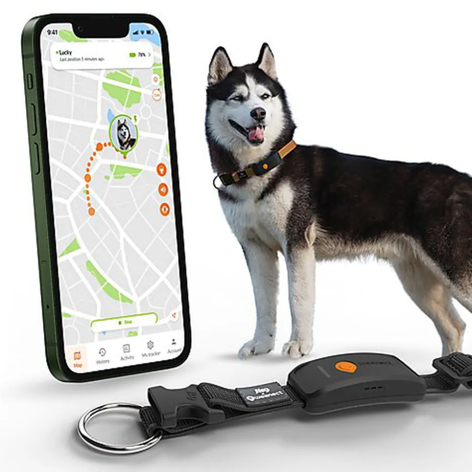 Weenect - Collier GPS XT Chiens