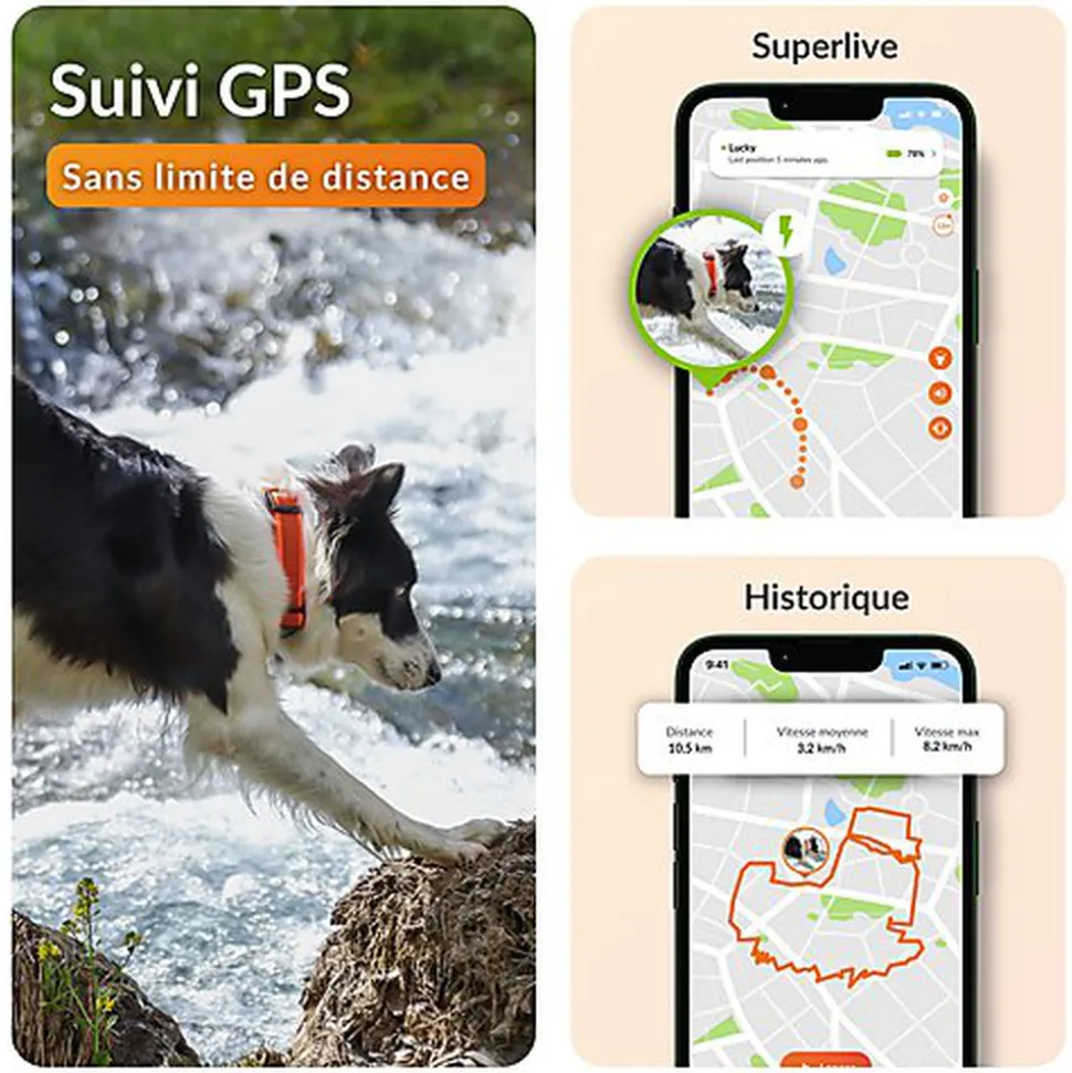 Weenect - Collier GPS XT Chiens
