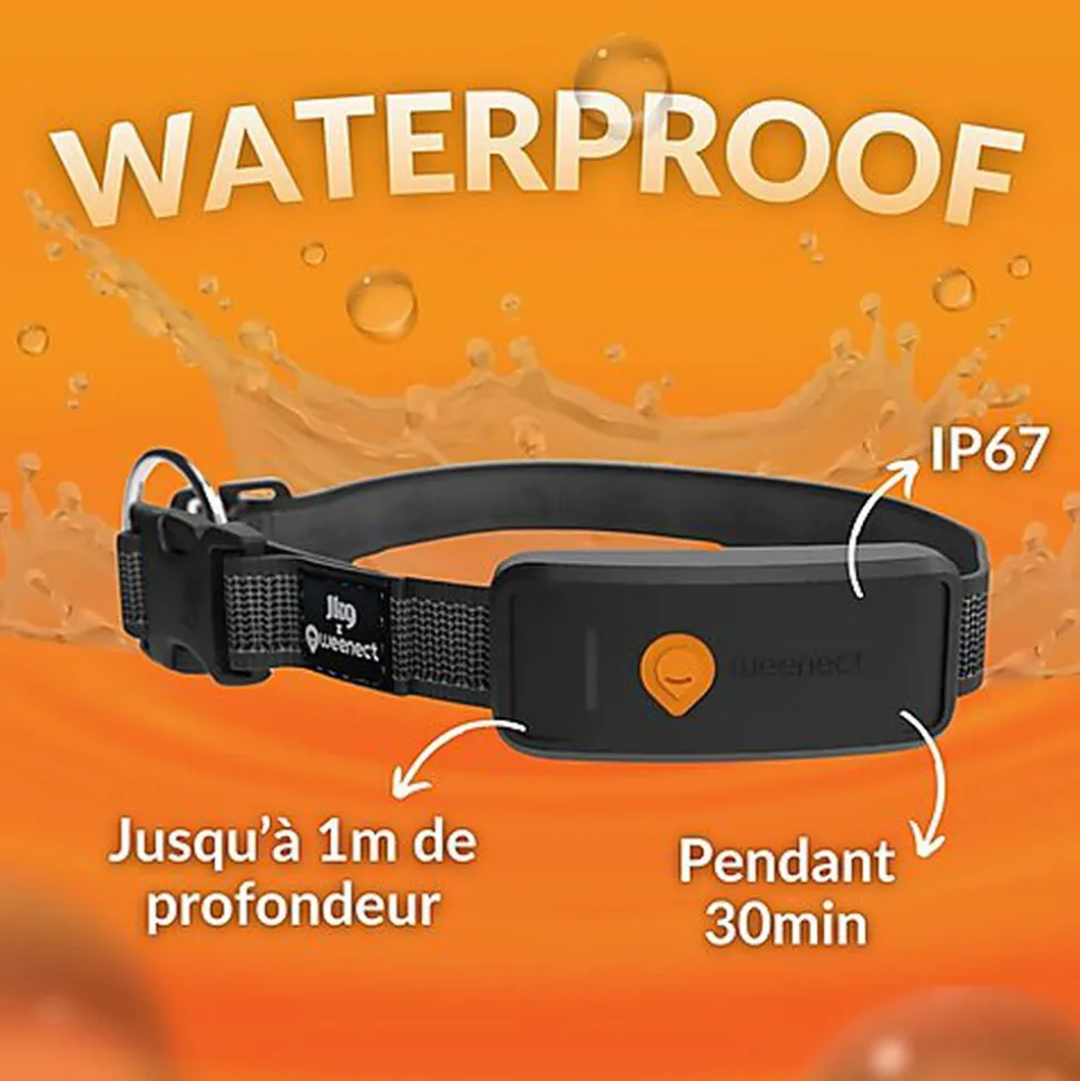 Weenect - Collier GPS XT Chiens