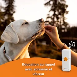 Weenect Dogs 2 - Collier GPS Connecté pour Chien