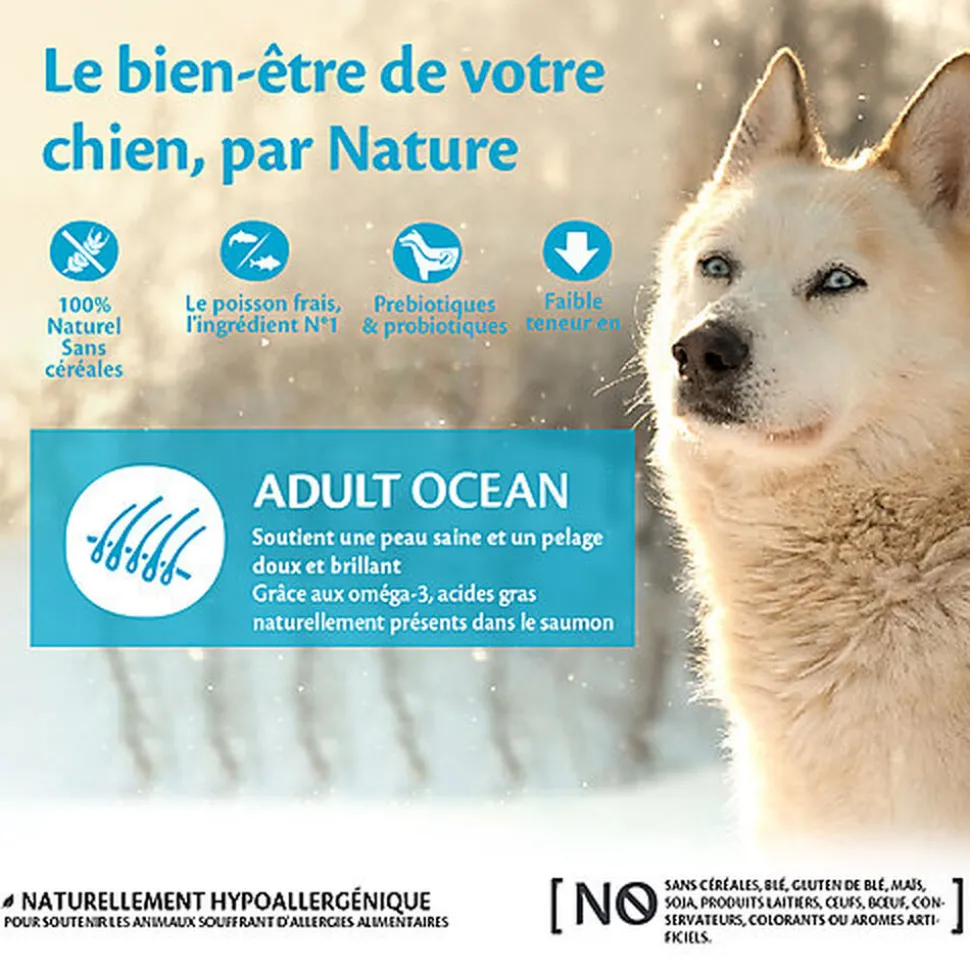 Wellness CORE - Croquettes Océan Saumon et Thon pour Chien