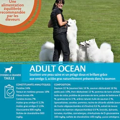 Wellness CORE - Croquettes Océan Saumon et Thon pour Chien