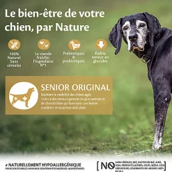 Wellness CORE - Croquettes Senior Dinde et Poulet pour Chien