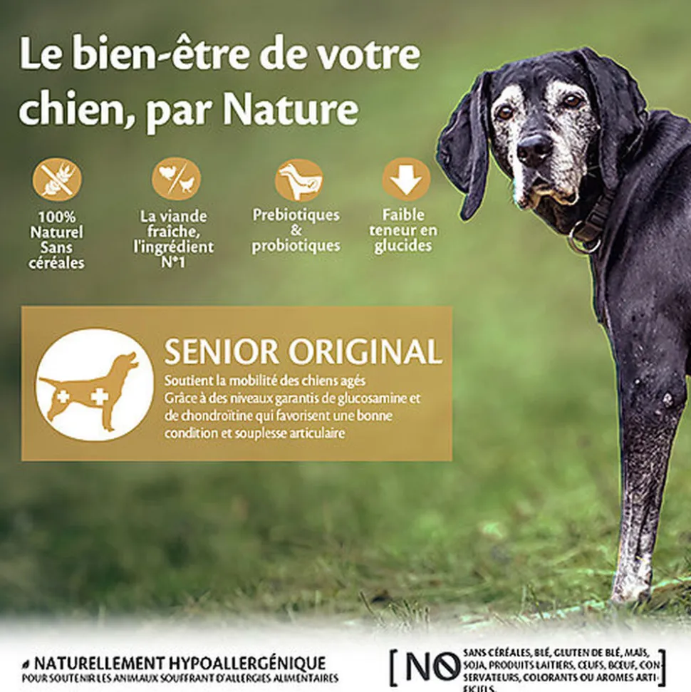 Wellness CORE - Croquettes Senior Dinde et Poulet pour Chien