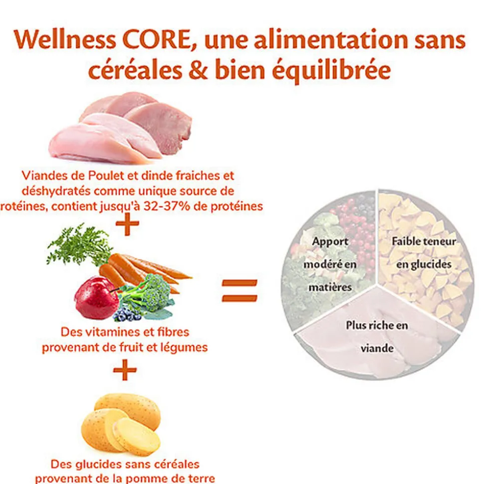 Wellness CORE - Croquettes Senior Dinde et Poulet pour Chien